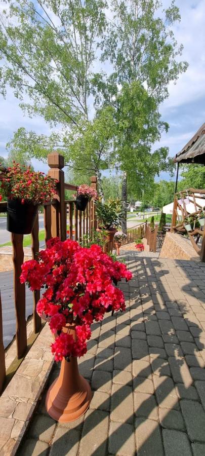 Ferienwohnung Lesne Klimaty Polańczyk Exterior foto