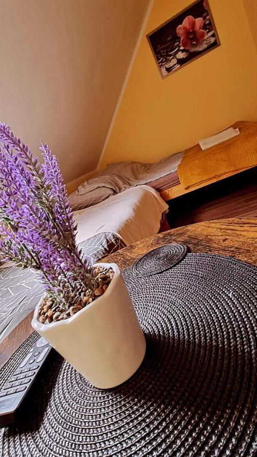 Ferienwohnung Lesne Klimaty Polańczyk Exterior foto